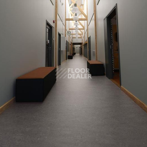 Forbo Marmoleum Decibel on Order 262935 eiger фото 2 | FLOORDEALER